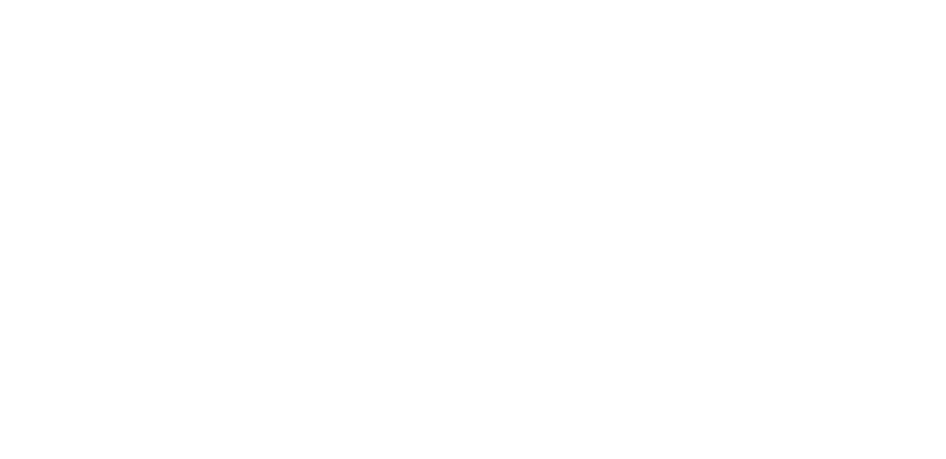 Company logo image