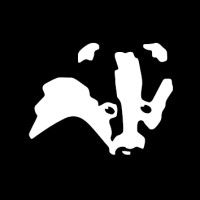Company logo image
