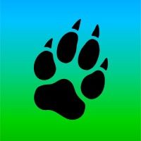 Company logo image