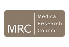 Company logo image