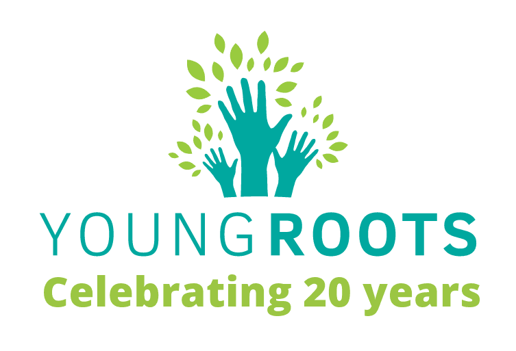 Company logo image